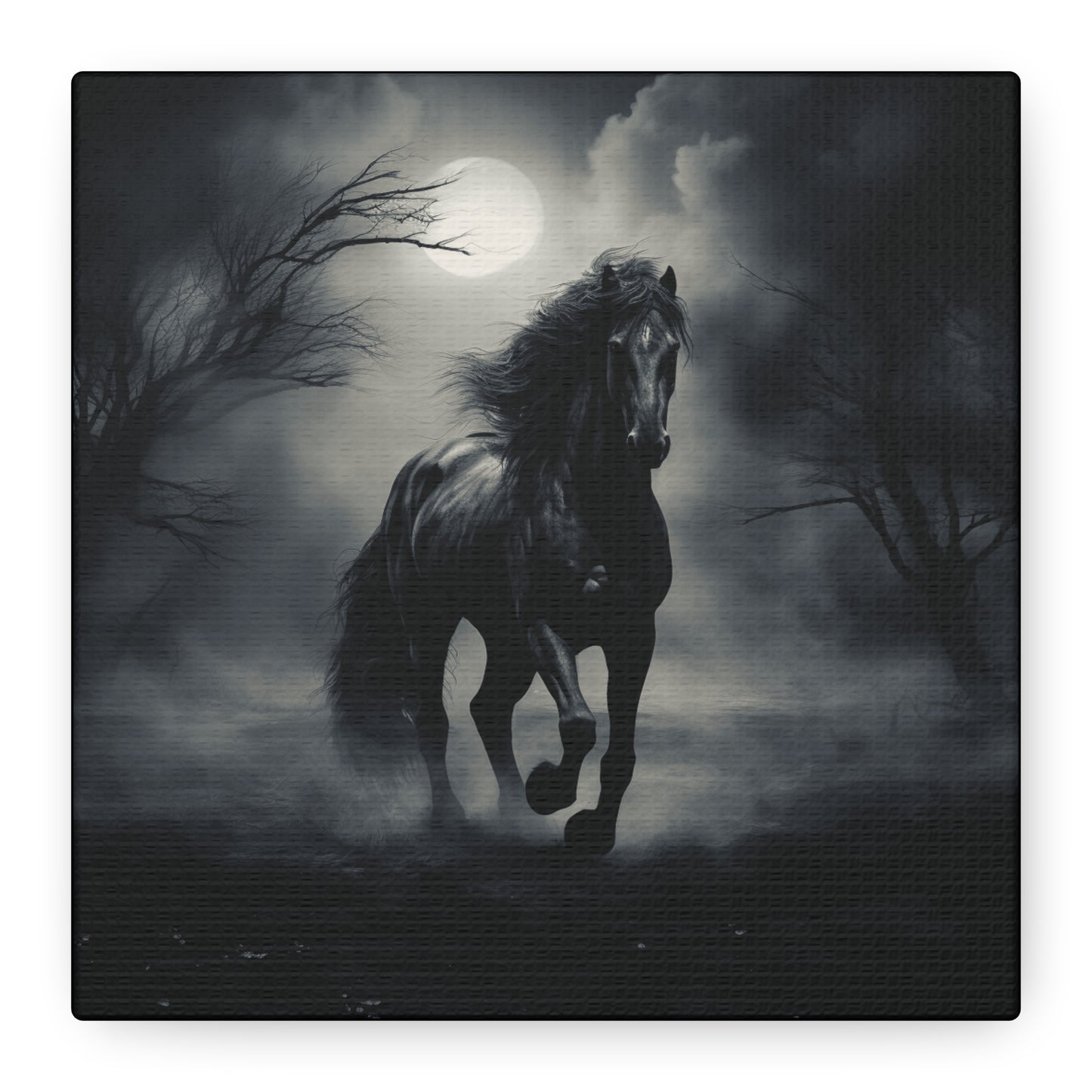 Astara 8 Signature Horse on Matte Canvas, Stretched, 1.25"